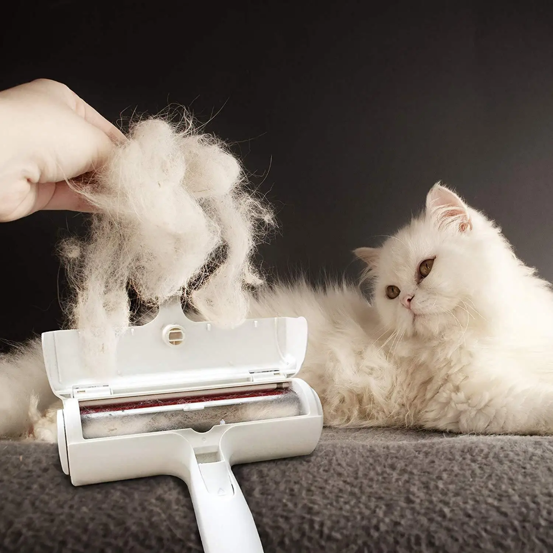 Person removing cat hair from a roller brush with a fluffy white cat sitting nearby. Chum Chum Pet Hair Remover Roller