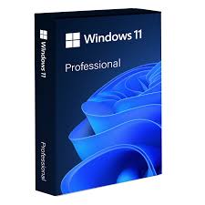 Windows 11 Professional software package box with blue abstract design