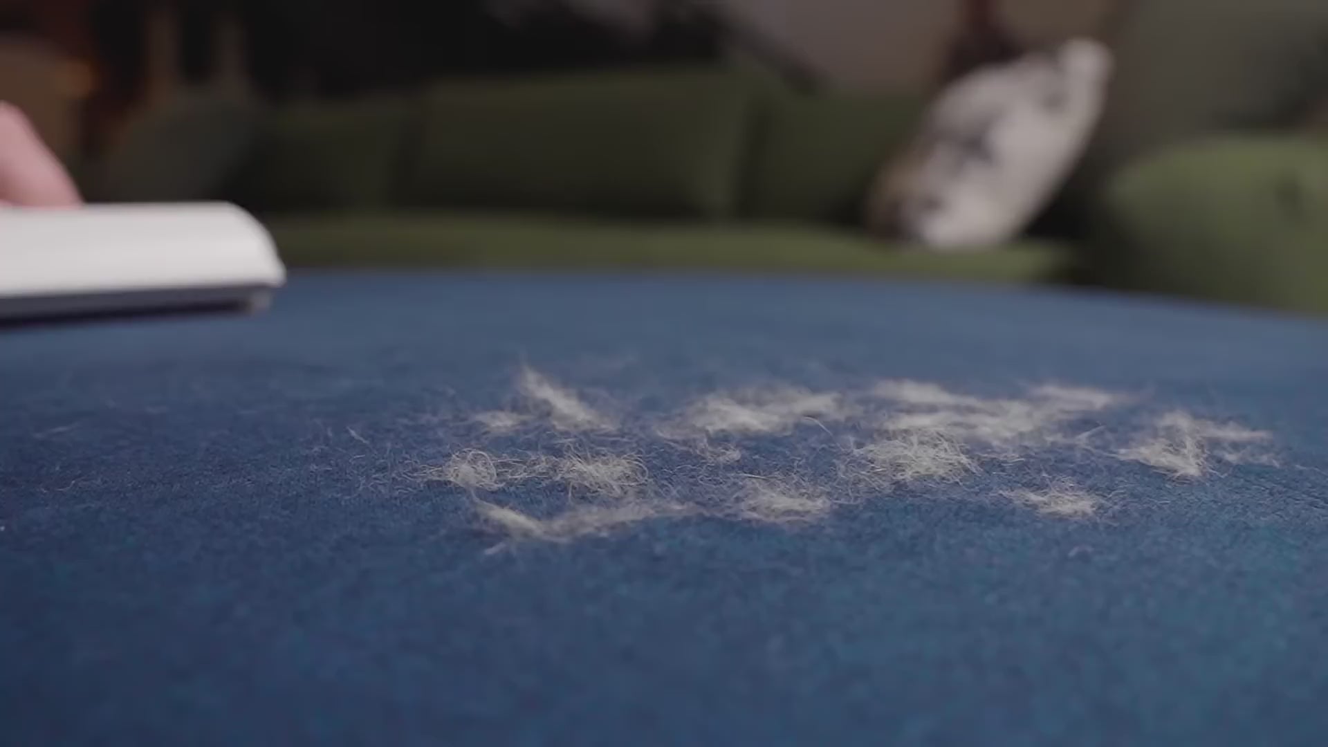 Chum Chum Pet Hair Remover Roller – Reusable Lint Tool